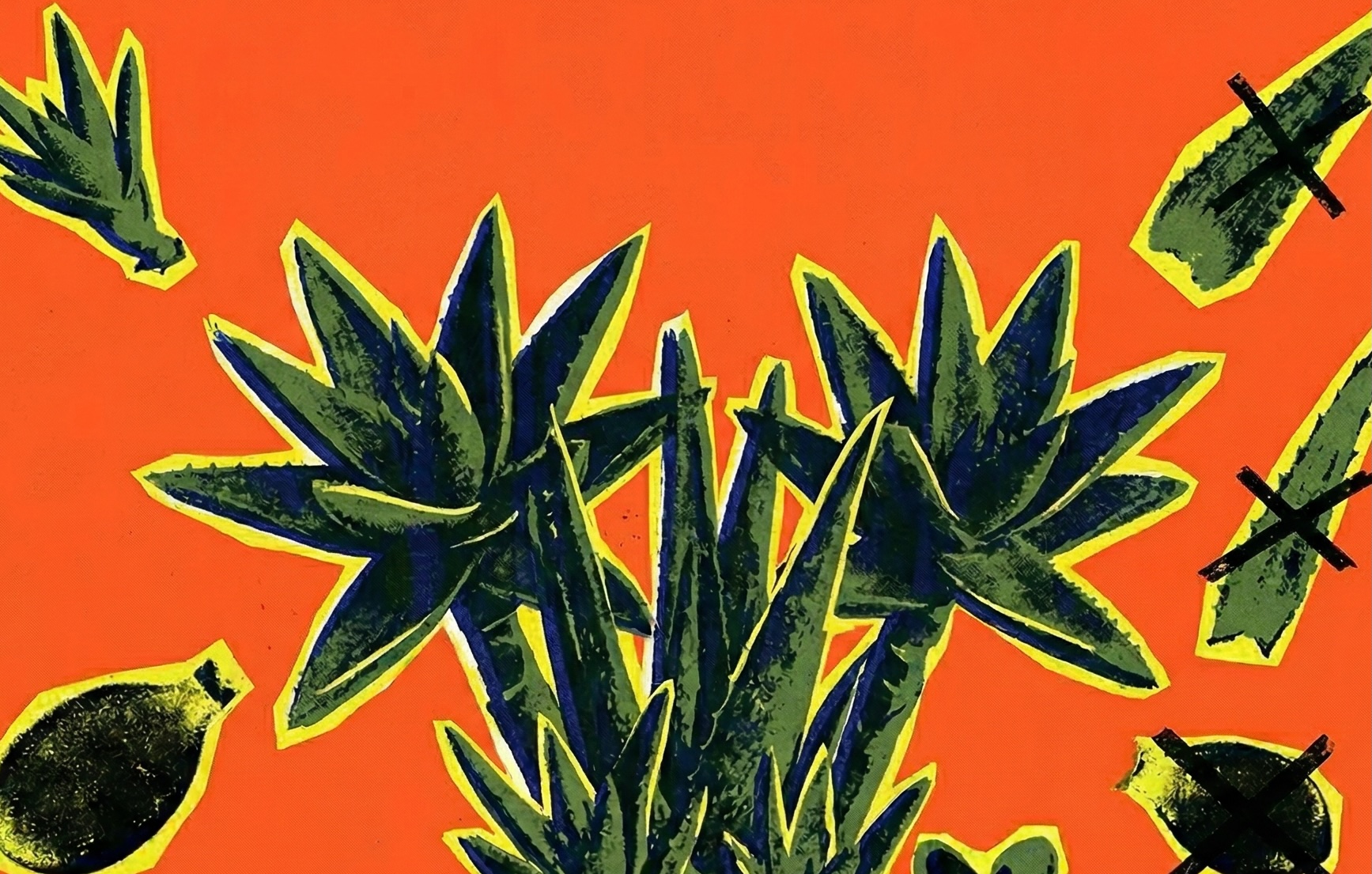 Aloe Vera